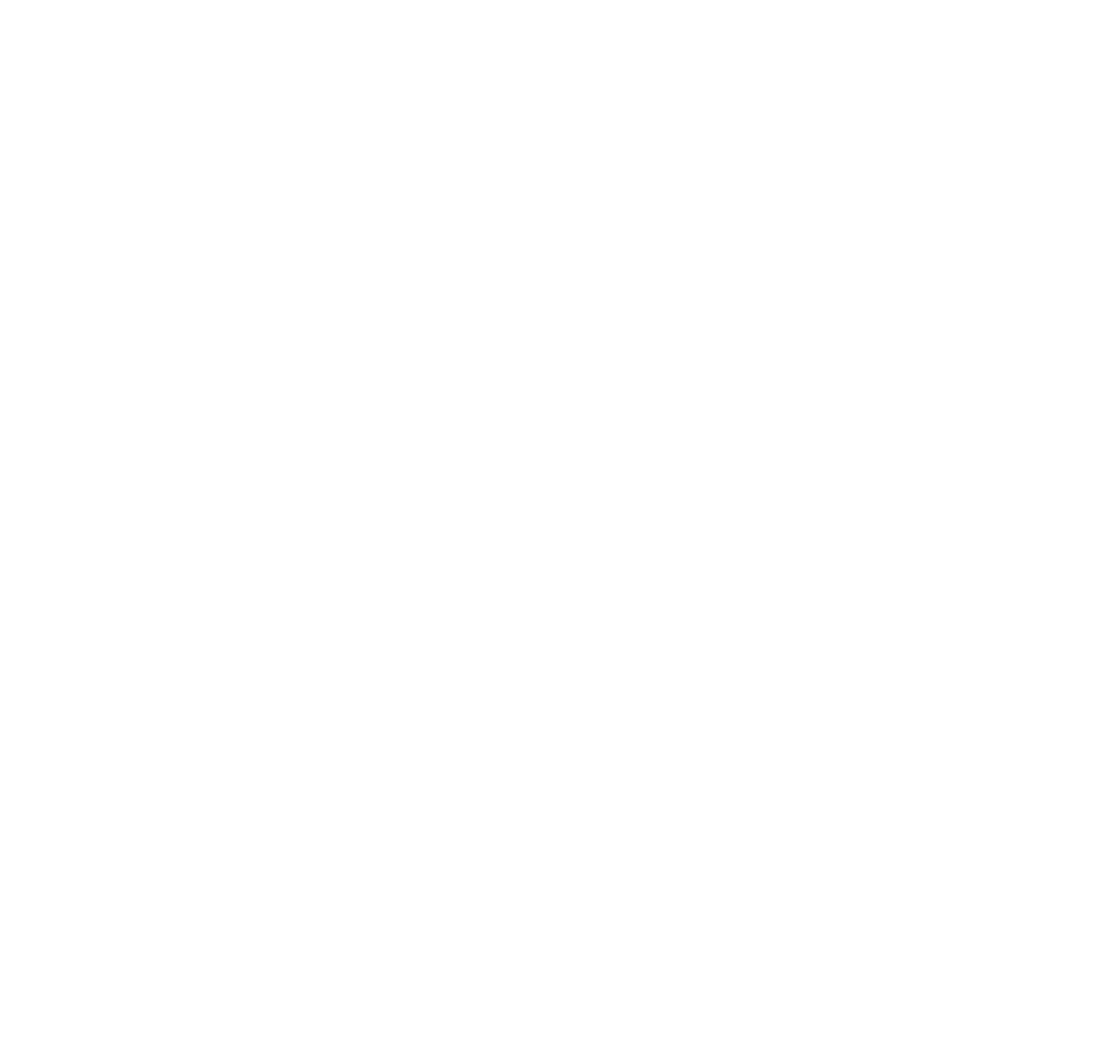 Medfinansieret af Den Europæiske Union